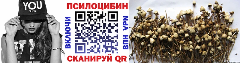 Галлюциногенные грибы прущие грибы  Нягань 