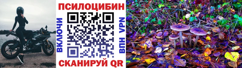 Галлюциногенные грибы Psilocybine cubensis Нягань