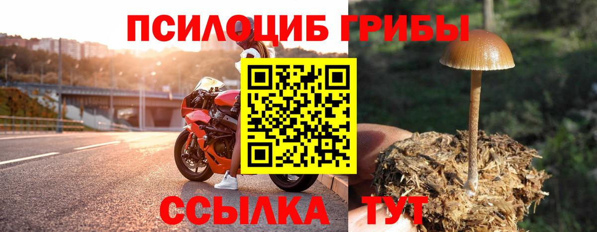 Галлюциногенные грибы мицелий  Вход с VPN  Нягань 